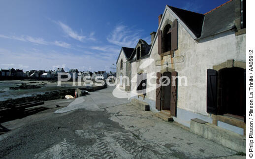 Sur les Quai à Sein. - © Philip Plisson / Plisson La Trinité / AA05912 - Nos reportages photos - Mer d'Iroise