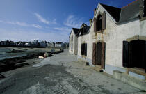 Sur les Quai à Sein. © Philip Plisson / Plisson La Trinité / AA05912 - Nos reportages photos - Mer d'Iroise