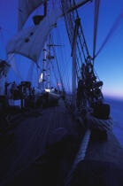 A bord du HMS Rose. © Philip Plisson / Plisson La Trinité / AA06017 - Nos reportages photos - Trois-mâts barque