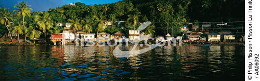Sainte-Lucie. - © Philip Plisson / Plisson La Trinité / AA06092 - Nos reportages photos - Antilles [Les]