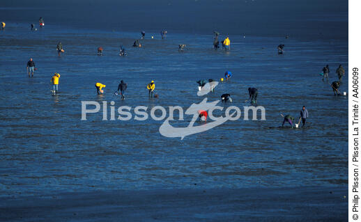 Pêche à pieds à Noirmoutier. - © Philip Plisson / Plisson La Trinité / AA06099 - Photo Galleries - Vendée