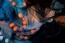 Fishing net. © Philip Plisson / Plisson La Trinité / AA06103 - Photo Galleries - Fishermen of the world