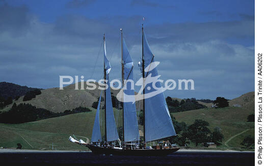 Shenandoah en Nouvelle-Zélande. - © Philip Plisson / Plisson La Trinité / AA06202 - Nos reportages photos - Les Grands voiliers