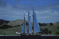 Shenandoah en Nouvelle-Zélande. © Philip Plisson / Plisson La Trinité / AA06202 - Photo Galleries - Tall ships