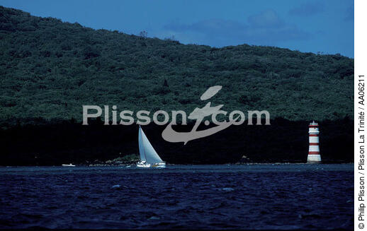 Navigation au raz des îles. - © Philip Plisson / Plisson La Trinité / AA06211 - Nos reportages photos - Nouvelle-Zélande