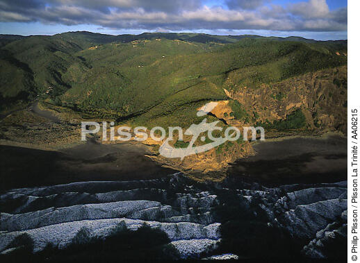 Côte préservée en Nouvelle-Zélande. - © Philip Plisson / Plisson La Trinité / AA06215 - Nos reportages photos - Côte sauvage