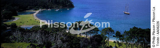 Côte néozélandaise. - © Philip Plisson / Plisson La Trinité / AA06226 - Nos reportages photos - Panoramique horizontal
