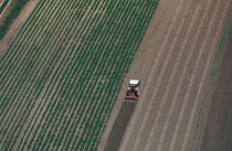 Agriculture dans le Gard. © Philip Plisson / Plisson La Trinité / AA06329 - Nos reportages photos - Vue aérienne