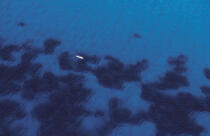 Kayac sur les côtes corses. © Philip Plisson / Plisson La Trinité / AA06357 - Nos reportages photos - Vue aérienne