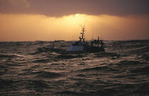 Chalutier concarnois rentrant de pêche; © Philip Plisson / Plisson La Trinité / AA06409 - Photo Galleries - Trawler