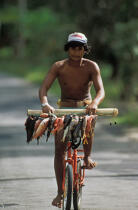 Retour de pêche en Polynésie française. © Philip Plisson / Plisson La Trinité / AA06551 - Nos reportages photos - Vélo