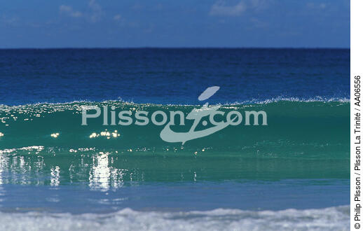 Transparence de l'eau à la Martinique. - © Philip Plisson / Plisson La Trinité / AA06556 - Nos reportages photos - Ciel bleu