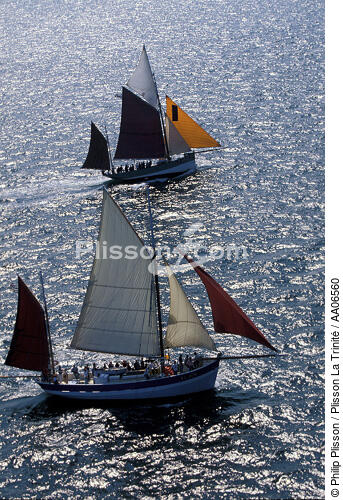 Rassemblement de Brest en 1996. - © Philip Plisson / Plisson La Trinité / AA06560 - Photo Galleries - The major maritime celebrations in Brest