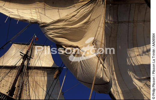Carguer la toile. - © Philip Plisson / Plisson La Trinité / AA06564 - Photo Galleries - Three-masted frigate