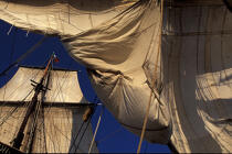 Carguer la toile. © Philip Plisson / Plisson La Trinité / AA06564 - Photo Galleries - Three-masted frigate