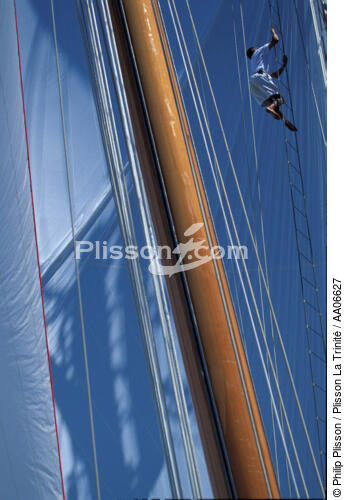 Equipier dans la mâture. - © Philip Plisson / Plisson La Trinité / AA06627 - Photo Galleries - Three-masted schooner