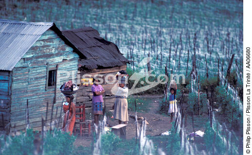 Femmes dans un champ à Saint-Domingue. - © Philip Plisson / Plisson La Trinité / AA06680 - Nos reportages photos - Ville [dom]