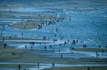 Bain de foule sur la plage de Ouistreham. © Philip Plisson / Plisson La Trinité / AA06861 - Nos reportages photos - Foule