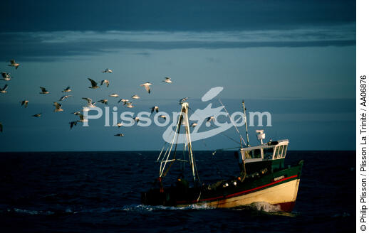 Retour de pêche en Baie de Quiberon. - © Philip Plisson / Plisson La Trinité / AA06876 - Nos reportages photos - Goéland