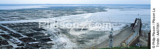 La baie de Cancale à marée basse. - © Philip Plisson / Plisson La Trinité / AA07061 - Photo Galleries - Low tide