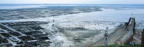 La baie de Cancale à marée basse. © Philip Plisson / Plisson La Trinité / AA07061 - Nos reportages photos - L'ostréiculture