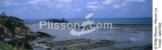 Le rocher de Cancale. - © Philip Plisson / Plisson La Trinité / AA07062 - Photo Galleries - Low tide