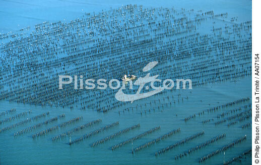 Molds Park in Vivier-sur-mer. - © Philip Plisson / Plisson La Trinité / AA07154 - Photo Galleries - Philip Plisson