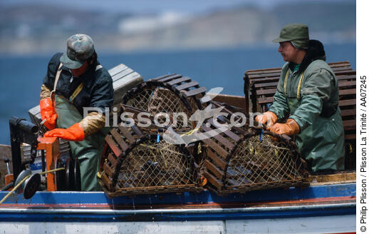 Pêcheurs de homards. - © Philip Plisson / Plisson La Trinité / AA07245 - Nos reportages photos - Casier