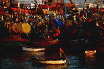Le port de pêche d'Essaouira. © Philip Plisson / Plisson La Trinité / AA07307 - Nos reportages photos - Maroc