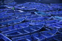 Canots de pêche à Essaouira. © Philip Plisson / Plisson La Trinité / AA07308 - Nos reportages photos - Maroc