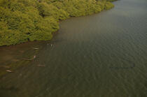 Scène de pêche dans l'archipel des San-Blas au large des côtes du Panama © Philip Plisson / Plisson La Trinité / AA07719 - Nos reportages photos - San-Blas