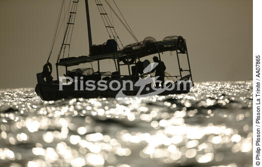 Scène de pêche en Grèce. - © Philip Plisson / Plisson La Trinité / AA07865 - Nos reportages photos - Métier