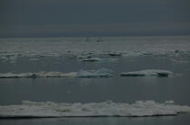 La baie d'Is , Spitzberg. © Philip Plisson / Plisson La Trinité / AA08129 - Photo Galleries - Ice