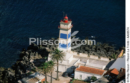 Le phare de Santa Marta au Portugal. - © Philip Plisson / Plisson La Trinité / AA08574 - Nos reportages photos - Flore
