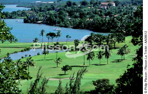 Le golf des 3 Ilets à la Martinique. - © Philip Plisson / Plisson La Trinité / AA08612 - Nos reportages photos - Couleur