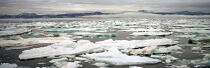 La baie d'Is en Norvège. © Philip Plisson / Plisson La Trinité / AA08617 - Nos reportages photos - Glace