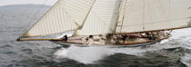 Mariquita pendant les Voiles de St Tropez 2004. © Philip Plisson / Plisson La Trinité / AA08640 - Photo Galleries - J Class yacht
