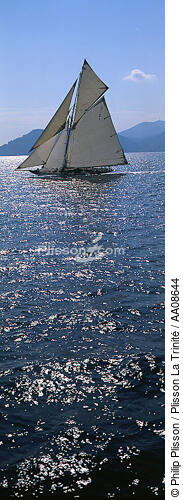 Mariquita pendant les Voiles de St Tropez 2004. - © Philip Plisson / Plisson La Trinité / AA08644 - Photo Galleries - Color