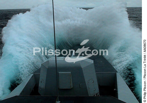 Le nez dans la plume. - © Philip Plisson / Plisson La Trinité / AA08670 - Nos reportages photos - Marine nationale