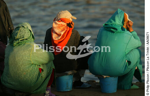 Marocaines dans le port d'Essaouira. - © Philip Plisson / Plisson La Trinité / AA08671 - Nos reportages photos - Couleur