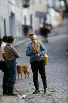 Scène de rue sur Sao Miguel aux Açores. © Philip Plisson / Plisson La Trinité / AA08864 - Nos reportages photos - Animal domestique
