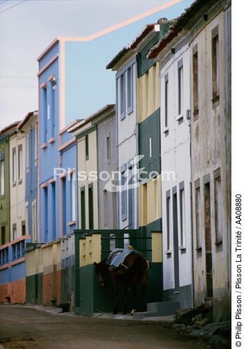 Les Açores. - © Philip Plisson / Plisson La Trinité / AA08880 - Nos reportages photos - Couleur