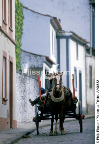 Scène de rue aux Açores. - © Philip Plisson / Plisson La Trinité / AA08882 - Nos reportages photos - Auteur