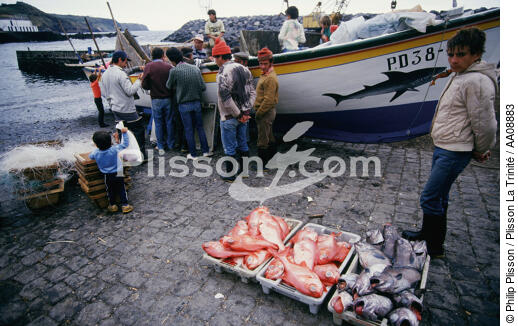Retour de pêche aux Açores. - © Philip Plisson / Plisson La Trinité / AA08883 - Photo Galleries - Author