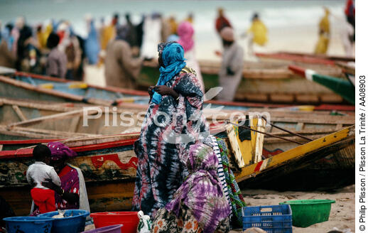Retour de pêche à Dakar. - © Philip Plisson / Plisson La Trinité / AA08903 - Photo Galleries - Senegal