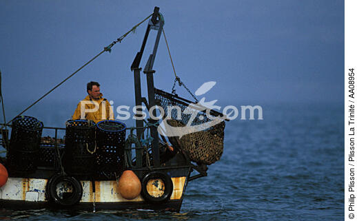 Pêche à la coquille. - © Philip Plisson / Plisson La Trinité / AA08954 - Nos reportages photos - Coquille Saint-Jacques