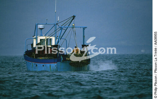 Pêche à la coquille. - © Philip Plisson / Plisson La Trinité / AA08955 - Nos reportages photos - Coquille Saint-Jacques