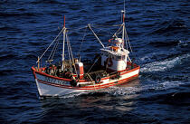 Pêche à la coquille. © Philip Plisson / Plisson La Trinité / AA08957 - Nos reportages photos - Pêche à la coquille