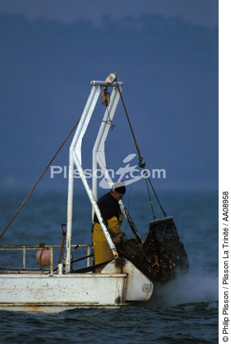 Pêche à la coquille. - © Philip Plisson / Plisson La Trinité / AA08958 - Nos reportages photos - Coquille Saint-Jacques
