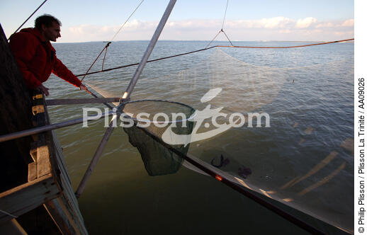 Pêche au carrelet sur la Loire. - © Philip Plisson / Plisson La Trinité / AA09026 - Photo Galleries - Square net fishing